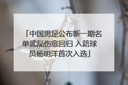中国男足公布新一期名单武磊伤愈回归 入籍球员杨明洋首次入选
