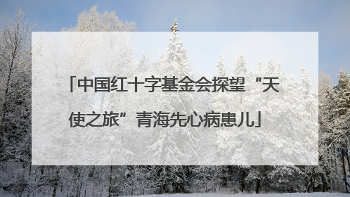 中国红十字基金会探望“天使之旅”青海先心病患儿