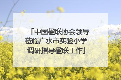 中国楹联协会领导莅临广水市实验小学调研指导楹联工作