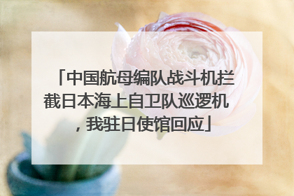 中国航母编队战斗机拦截日本海上自卫队巡逻机，我驻日使馆回应