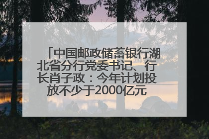 中国邮政储蓄银行湖北省分行党委书记、行长肖子政：今年计划投放不少于2000亿元支持支点建设