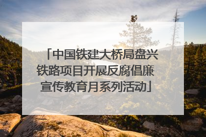 中国铁建大桥局盘兴铁路项目开展反腐倡廉宣传教育月系列活动