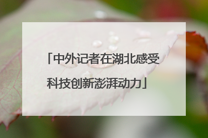 中外记者在湖北感受科技创新澎湃动力