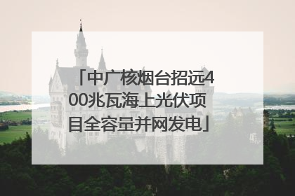 中广核烟台招远400兆瓦海上光伏项目全容量并网发电