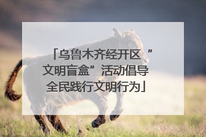 乌鲁木齐经开区“文明盲盒”活动倡导全民践行文明行为