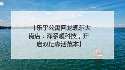 乐乎公寓回龙观东大街店：深系暖科技，开启双栖森活范本