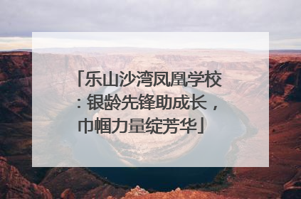 乐山沙湾凤凰学校：银龄先锋助成长，巾帼力量绽芳华