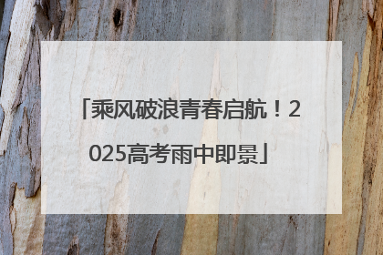 乘风破浪青春启航！2025高考雨中即景