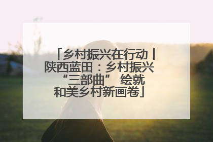 乡村振兴在行动丨陕西蓝田：乡村振兴 “三部曲” 绘就和美乡村新画卷
