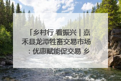 乡村行 看振兴｜嘉禾县龙潭牲畜交易市场：优惠赋能促交易 乡村振兴添动能