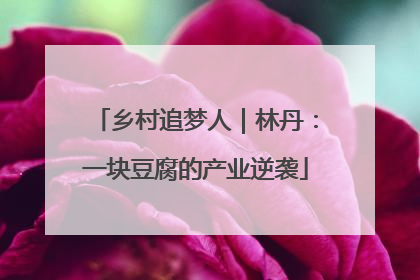 乡村追梦人｜林丹：一块豆腐的产业逆袭