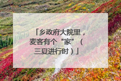 乡政府大院里，麦客有个“家”（三夏进行时）