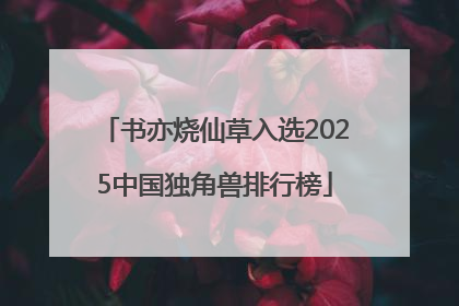 书亦烧仙草入选2025中国独角兽排行榜