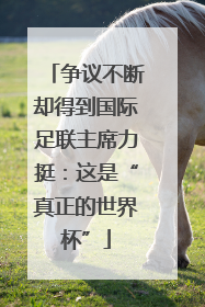 争议不断却得到国际足联主席力挺：这是“真正的世界杯”
