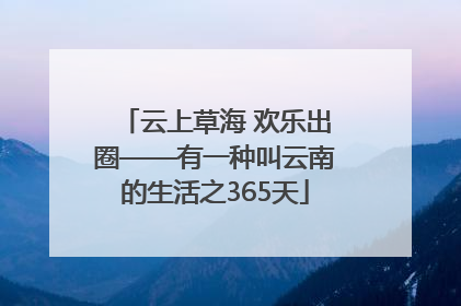 云上草海 欢乐出圈——有一种叫云南的生活之365天
