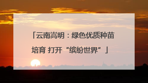 云南嵩明：绿色优质种苗培育 打开“缤纷世界”