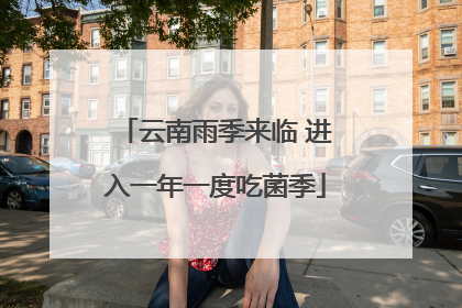 云南雨季来临 进入一年一度吃菌季