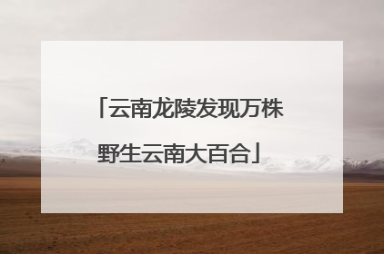 云南龙陵发现万株野生云南大百合