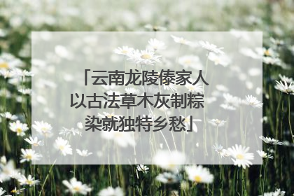 云南龙陵傣家人以古法草木灰制粽 染就独特乡愁