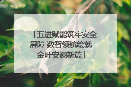 五进赋能筑牢安全屏障 数智领航绘就金叶安澜新篇