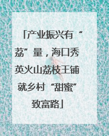 产业振兴有“荔”量，海口秀英火山荔枝王铺就乡村“甜蜜”致富路