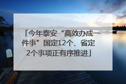 今年泰安“高效办成一件事”国定12个、省定2个事项正有序推进