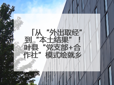 从“外出取经”到“本土结果”！叶县“党支部+合作社”模式绘就乡村振兴新图景