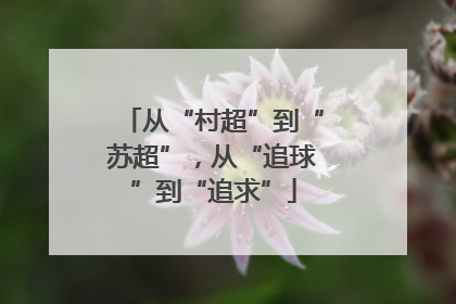 从“村超”到“苏超”，从“追球”到“追求”
