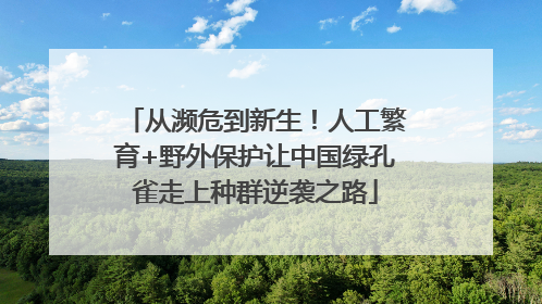 从濒危到新生！人工繁育+野外保护让中国绿孔雀走上种群逆袭之路