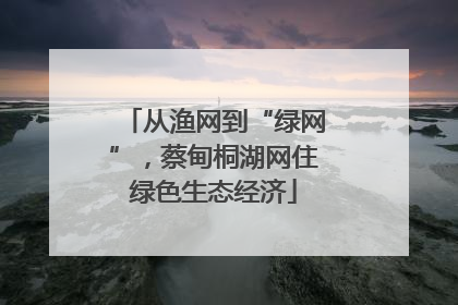 从渔网到“绿网”，蔡甸桐湖网住绿色生态经济