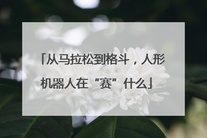 从马拉松到格斗，人形机器人在“赛”什么