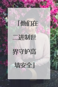 他们在二进制世界守护高墙安全