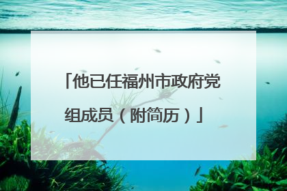 他已任福州市政府党组成员（附简历）
