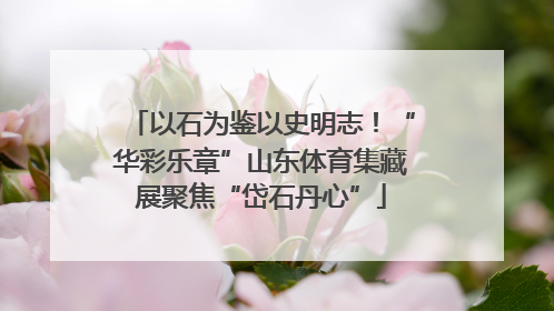 以石为鉴以史明志！“华彩乐章”山东体育集藏展聚焦“岱石丹心”