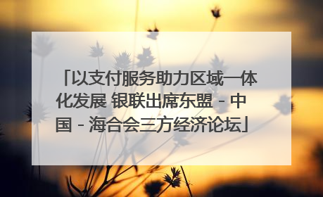 以支付服务助力区域一体化发展 银联出席东盟－中国－海合会三方经济论坛