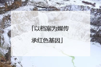 以档案为媒传承红色基因