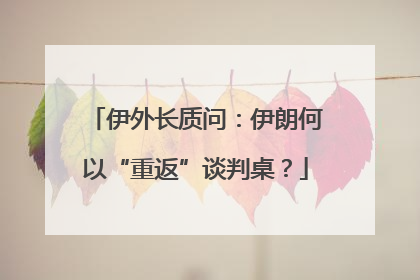 伊外长质问：伊朗何以“重返”谈判桌？