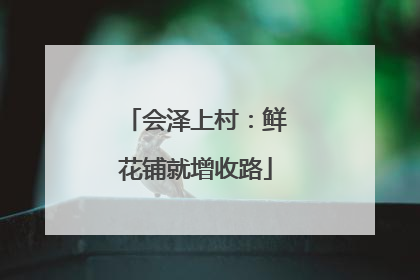 会泽上村：鲜花铺就增收路