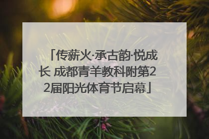 传薪火·承古韵·悦成长 成都青羊教科附第22届阳光体育节启幕