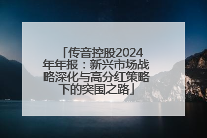 传音控股2024年年报：新兴市场战略深化与高分红策略下的突围之路