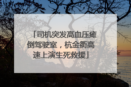 司机突发高血压瘫倒驾驶室，杭金衢高速上演生死救援