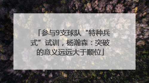 参与9支球队“特种兵式”试训，杨瀚森：突破的意义远远大于顺位