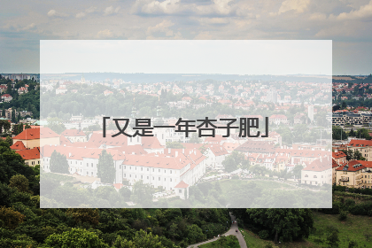 又是一年杏子肥