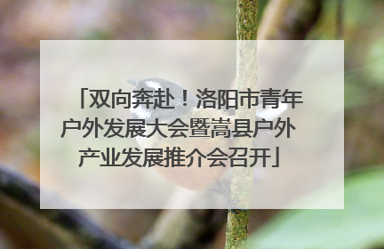 双向奔赴！洛阳市青年户外发展大会暨嵩县户外产业发展推介会召开