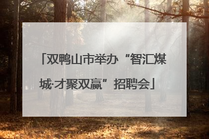 双鸭山市举办“智汇煤城·才聚双赢”招聘会