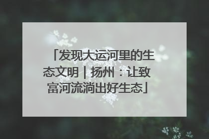 发现大运河里的生态文明｜扬州：让致富河流淌出好生态