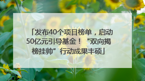 发布40个项目榜单，启动50亿元引导基金！“双向揭榜挂帅”行动成果丰硕