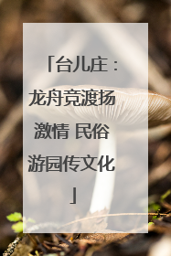 台儿庄：龙舟竞渡扬激情 民俗游园传文化