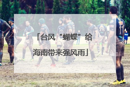 台风“蝴蝶”给海南带来强风雨