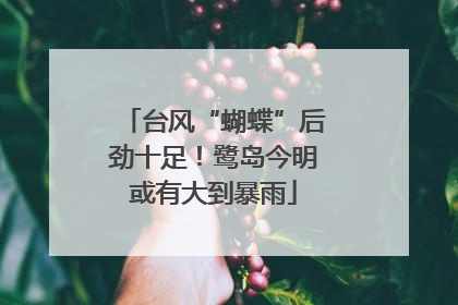 台风“蝴蝶”后劲十足！鹭岛今明或有大到暴雨